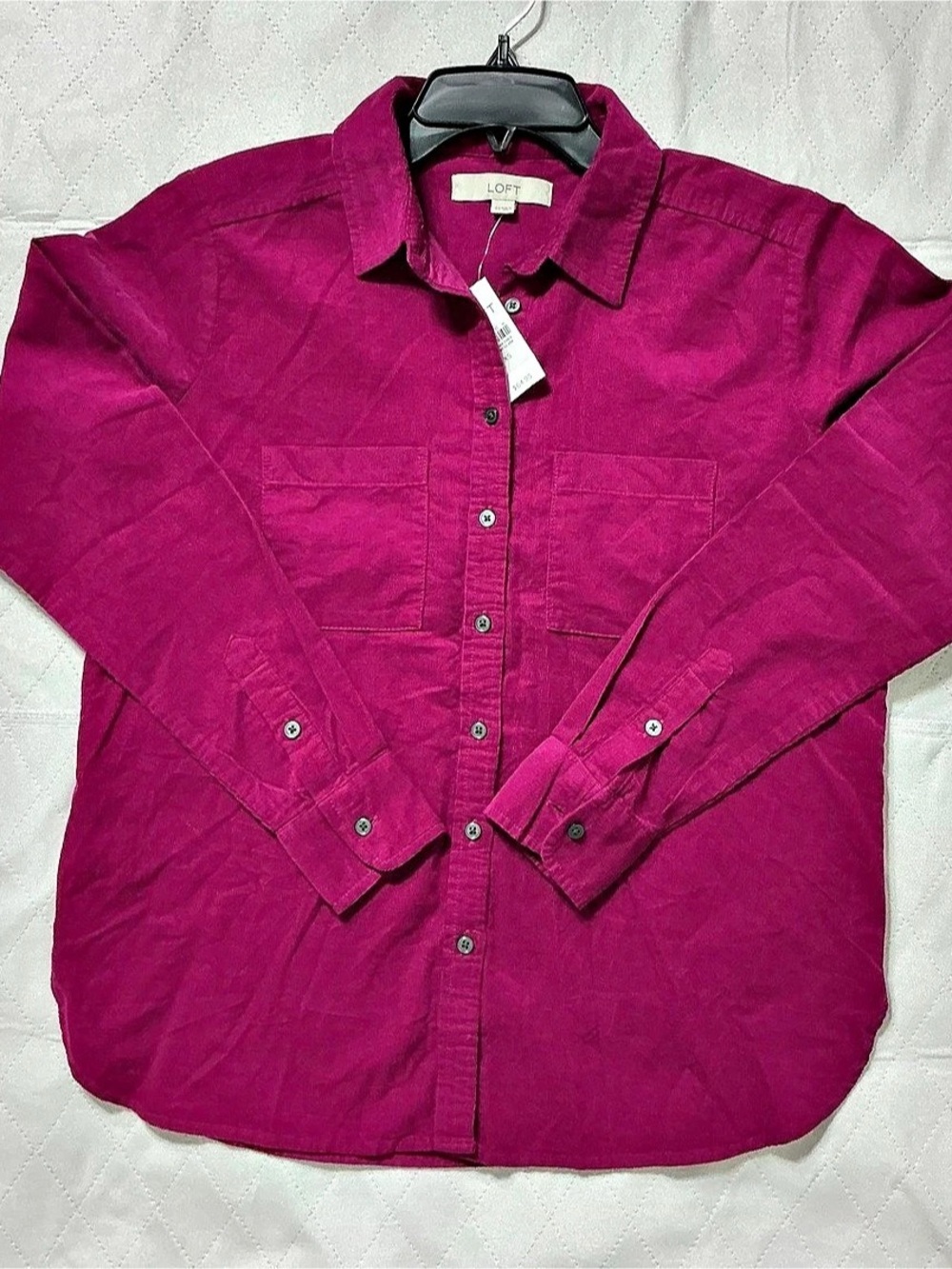 LOFT Cotton Button Down Shirt in Pink XS NWT